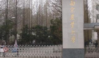 南京农业大学怎么样